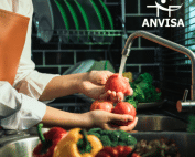 rdc 216 anvisa pdf