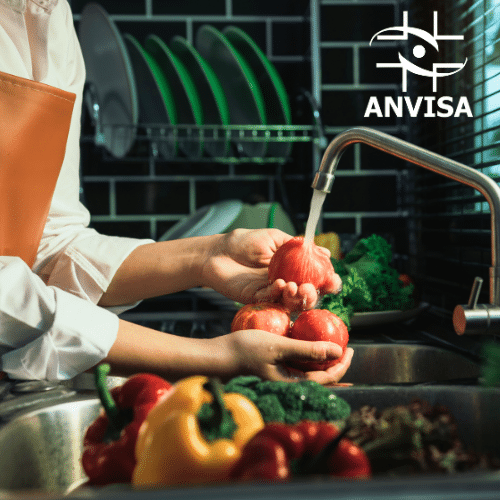 rdc 216 anvisa pdf