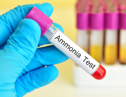 Ammonia Quaternary: what is it and what are its advantages?