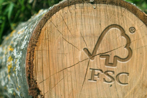 manejo florestal certificação FSC
