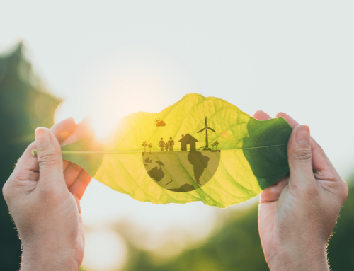 ESG significado: O que é e por que importa para o seu negócio?