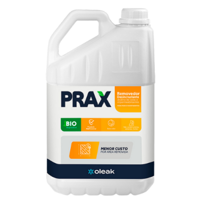 Prax Removedor Desincrustante