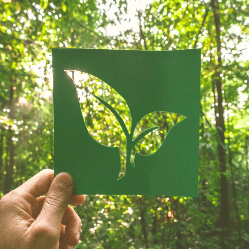 ABNT de Rotulagem Ambiental produto de limpeza ecológico