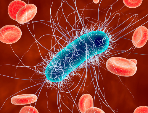 Como superbactérias se tornaram um problema de saúde pública?