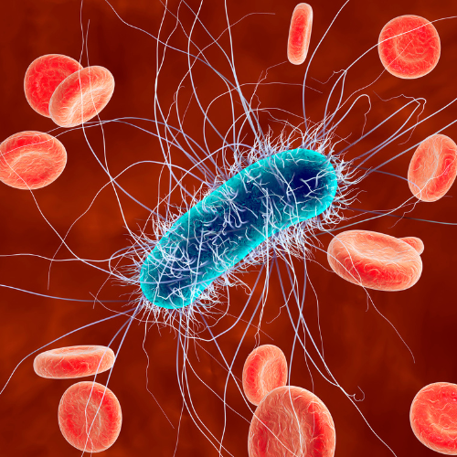superbacterias