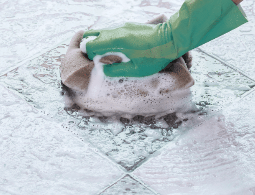 Flotador: O que é, para que serve e como usar na Limpeza?