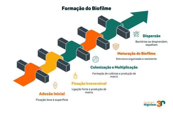 Formação de biofilme