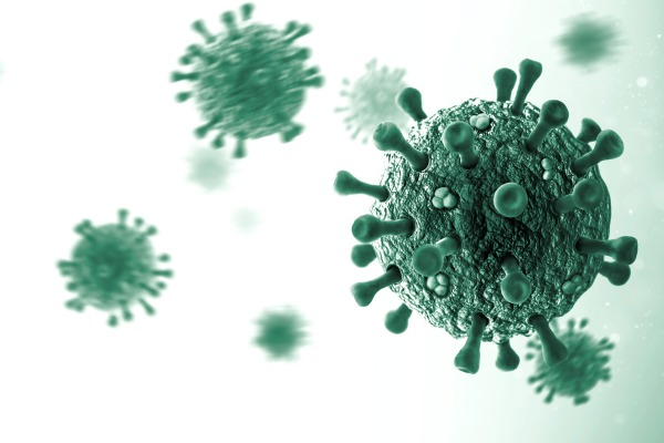 Hantavirus