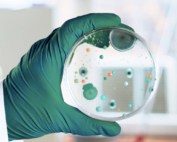 biofilmes capa