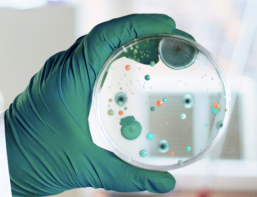 O que é Biofilme, como surge e como remover com a limpeza?