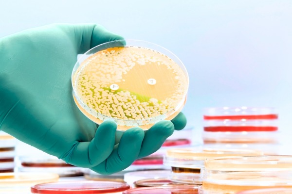 O que é resistência microbiana
